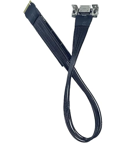 ONEXGPU2 + OCulinkケーブル Amazon.co.jp: gimgan Oculink to Displayport USB 13フィート