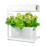 リビングファーム 水耕栽培器キット ココベジiW (白色系 高輝度LED付き) リーフレタス種付き 室内 栽培キット