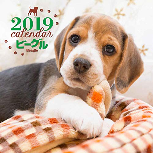 2019年大判カレンダー ビーグル