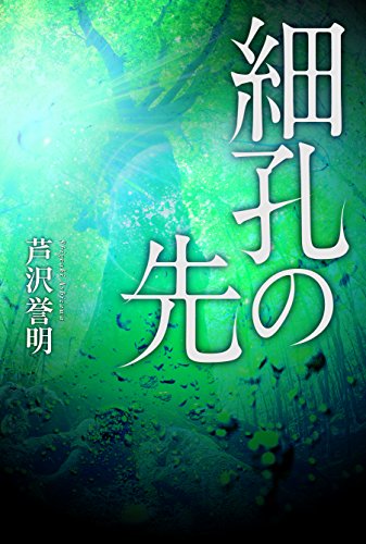 芦沢誉明:細孔の先