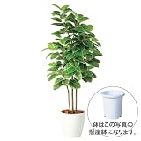 エフプランター 人工観葉植物-アルテシマ株立-200-10号鉢-懸崖鉢