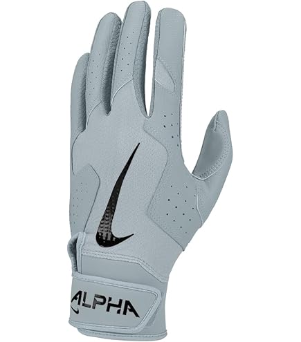 Amazon | バッティンググローブ ナイキ 野球 両手用 メンズ 一般