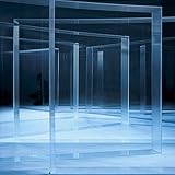 FOREGROW? (LIMITED SILVER COLORED VINYL VERSION)[Analog]