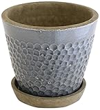 彩か SAIKA  スケイルGray Pot&Saucer M PTA-107