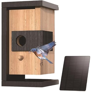 Amazon.co.jp 最新リリース: 鳥の巣・巣箱 の新着ランキングです。