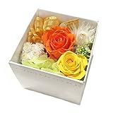 Florentia プリザーブドフラワー・ローズキューブBOX（オレンジ）