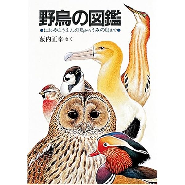 ペーパーバック版 薮内正幸 日本の野鳥セット 全6冊 (福音館の科学 