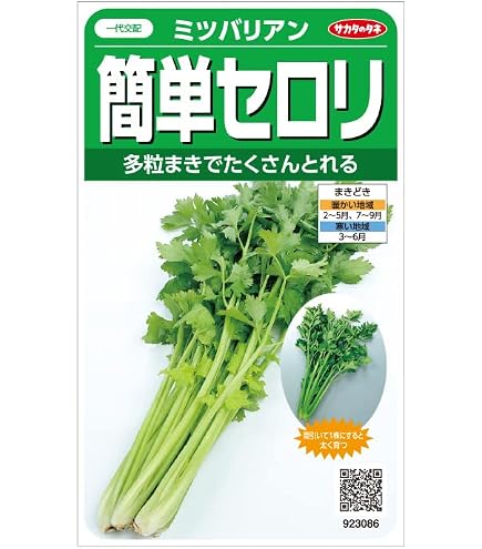 セロリ　　他の方は購入しないでください Amazon.co.jp: 植物種子 ポリフェノールを豊富に含む 紫セロリ 種 30粒