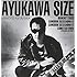 AYUKAWA SIZE