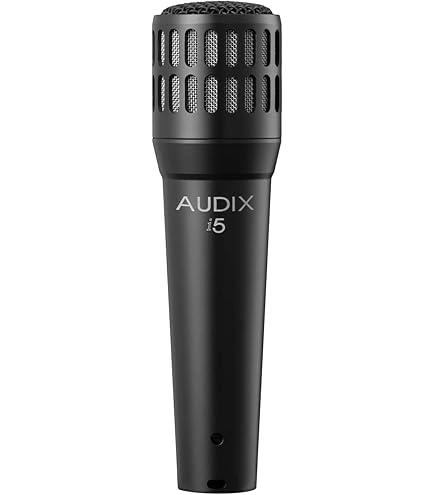 AUDIX D2 ダイナミックマイク 本体とケース D2(AUDIX)