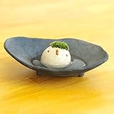 苔盆栽 モスモス モスコトリ 白 受け皿（黒色）セット