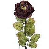 (ヒル・インテリアズ) Hill Interiors ダークレッドローズ バラの造花 (シングル) アーティフィシャルフラワー イミテーションフラワー デコレーション (ワンサイズ) (ダークレッド/