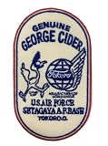 ワッペン アイロン 世田谷ベース US AIR FORCE GENUINE ミリタリー アーミー アメリカ アメカジ 刺しゅう アップリケ パッチ