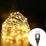 Juzihao 33ft 100 LEDs USB Powered Starry String Lights Copper Wire Light for Wedding Christmas Party