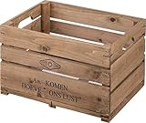 AZUMAYA ボックス LFS-476