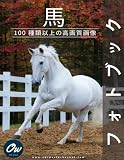 馬: フォトブック