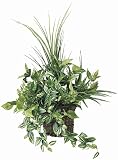WALL/壁掛けグリーン 観葉植物 光触媒 造花 アートフラワー ナチュラルグラス 281A7040