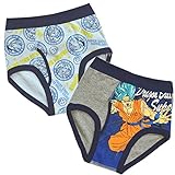 ドラゴンボールスーパー超 子供 ブリーフ 2枚組 肌着 下着 パンツinn01 120cm
