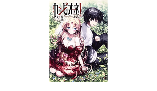 新品本物 古本 中古 ダッシュエックス文庫 1 19巻セット 文庫 カンピオーネ 小説 ラノベ 漫画 文庫本 良い 一気読み セット販売 まとめ買い ティーンズ ファンタジー文庫 Www Petpixel Com Br