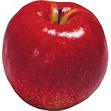 国華園　果樹苗　リンゴ　ジョナゴールド　1株【※発送が国華園からの場合のみ正規品です】