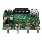 Perfk デュアル　チャンネル　アンプ　ボード　オーディオ　ステレオ　DX0409 100W