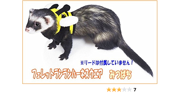 フェレットランランハーネスウェア みつばち S レインボー 首輪 ハーネス リード 通販 Amazon