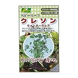 カネコ種苗 園芸・種 KS100シリーズ クレソン ウォータークレス 野菜100 707