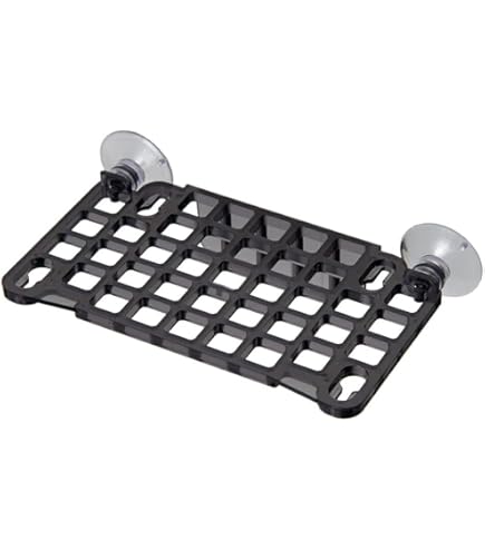 Amazon | チョイス 3Way フラグラック クリアー フラグサンゴ ラック