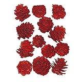 東京堂 クリスマス ドライフラワー カラマツ(40コ入り) DT075539