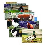 STAGES LEARNING MATERIALS SLM152 FARM ANIMAL POSTER SET SET OF 10