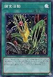 遊戯王 DP22-JP047 捕食活動 (日本語版 スーパーレア) デュエリストパック - レジェンドデュエリスト編5 -