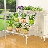 消毒木製フラワースタンド アイロンフロアにマルチ階段の花のポットの居間屋外立っているフラワーシェルフ 強い支持力 (色 : 白)