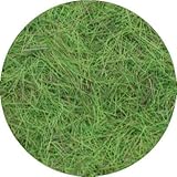 プラッツ/ノッホ 草地用パイル・定番・日本の夏草ミックス(パイル長4.0mm)