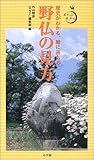 野仏の見方―歴史がわかる、腑に落ちる (ポケットサライ)