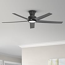 シーリングライト・天井照明 TALOYA Ceiling Fan with Light TALOYA Ceiling Fans with Lights and Remote, 46 Inch Low