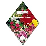 [春・秋まき　花タネ][フランス花の種]バルコニーガーデンミックス * ノーブランド品