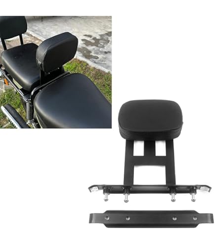 Amazon | スペシャルパーツ武川(TAKEGAWA) ピリオンシート＆バック