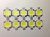 10pcs x10W　ハイパワー LED IC 電球ウォーム ホワイト・ホワイト 10ワット 3200K・6500K 800LM 9-12V (ホワイト)