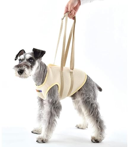 Amazon | 歩行補助ハーネスLaLaWalk小型犬・ダックス用 スクール（緑