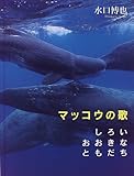 マッコウの歌―しろいおおきなともだち
