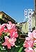 万寿子さんの庭〔文庫〕