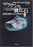 マラケシュの贋化石〈下〉進化論の回廊をさまよう科学者たち