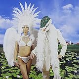�A���Q�[�^�[�E�t�@�[�� Plus
