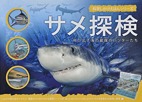 サメ探検 絵本の森