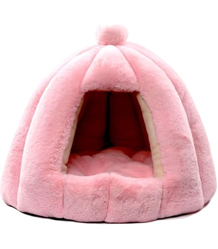 Amazon | PETKIT ペットキット スマートペットハウス(冷暖房ハウス