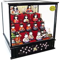 51AAHqB0gFL._AC_UL210_SR210,