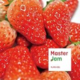 マスタージャム