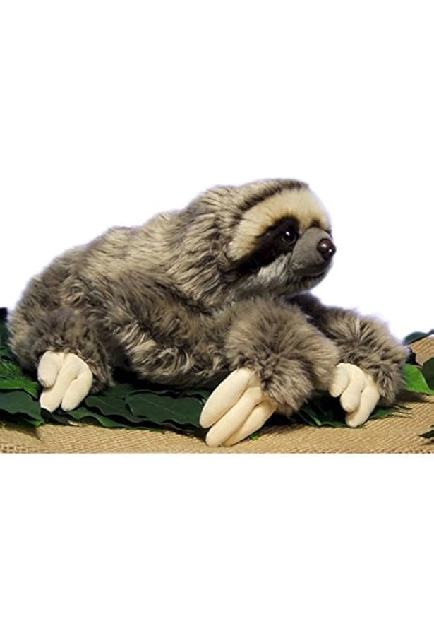 douglas stuffed sloth