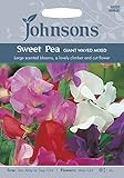 【輸入種子】 Johnsons Seeds Sweet Pea GIANT WAVED MIXED スイート・ピー ジャイアント・ウェーブ・ミックス ジョンソンズシード