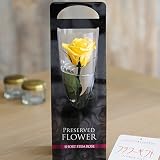 プリザーブドフラワー　ショート　Rose　ゴールデンイエロー（黒パケ）【FL072-17】＜就任祝い　昇進祝い　昇任祝いに＞